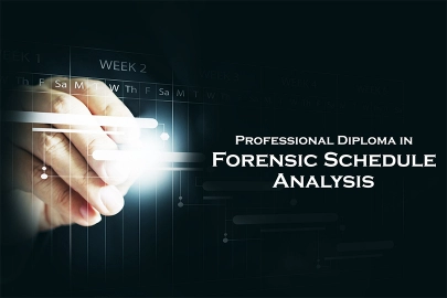 Professional Diploma in Forensic Schedule Analysis