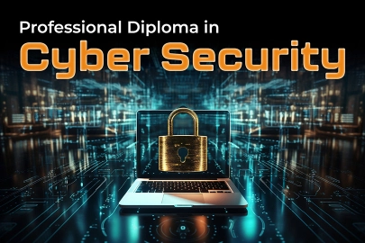 Professional Diploma in Cyber Security